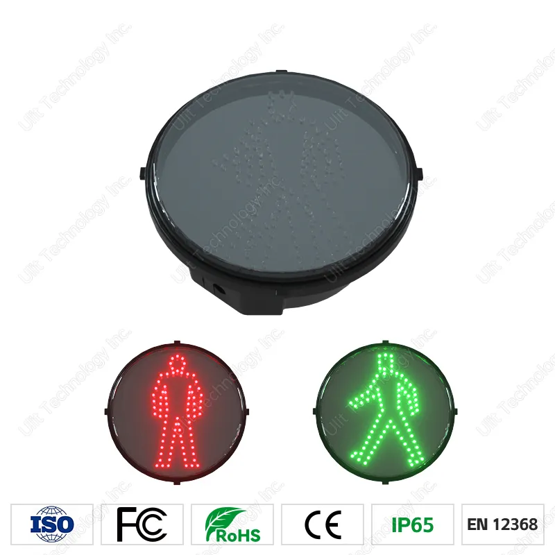Traffic Light and Zebra Crossing